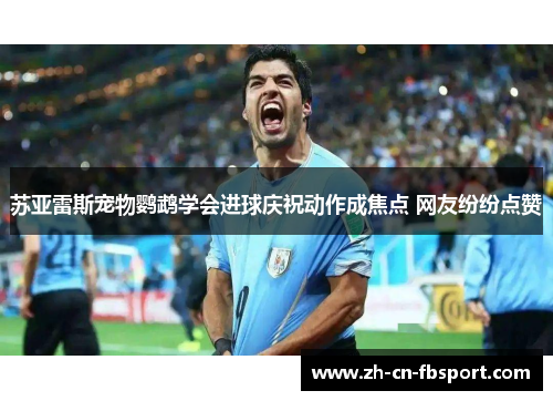 苏亚雷斯宠物鹦鹉学会进球庆祝动作成焦点 网友纷纷点赞 苏亚雷斯宠物鹦鹉学会进球庆祝动作成焦点 网友纷纷点赞