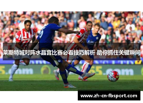 莱斯特城对阵水晶宫比赛必看技巧解析 助你抓住关键瞬间 莱斯特城对阵水晶宫比赛必看技巧解析 助你抓住关键瞬间