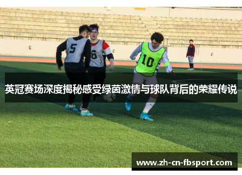 英冠赛场深度揭秘感受绿茵激情与球队背后的荣耀传说