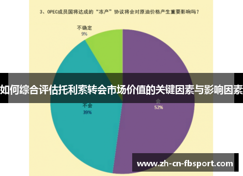 如何综合评估托利索转会市场价值的关键因素与影响因素