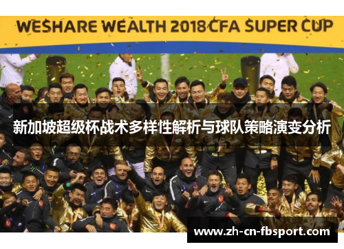 新加坡超级杯战术多样性解析与球队策略演变分析