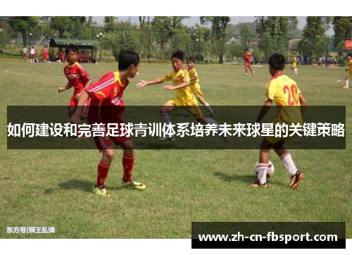 如何建设和完善足球青训体系培养未来球星的关键策略
